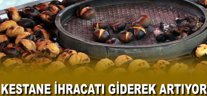 Kestane ihracatı giderek artıyor