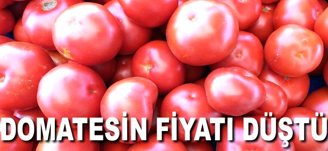 Domatesin fiyatı düştü