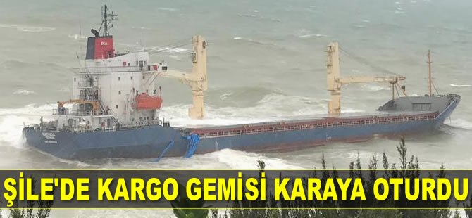 M/V Natalia isimli genel kargo gemisi, Şile açıklarında karaya oturdu