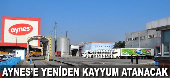 Aynes'e yeniden kayyum atanacak