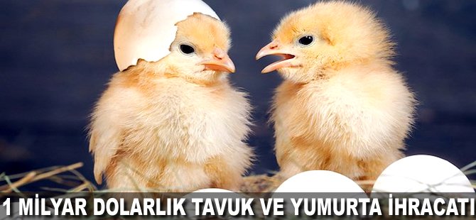 1 milyar Dolarlık Tavuk ve Yumurta ihracatı