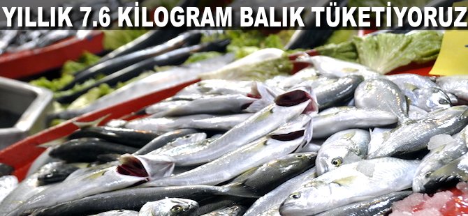 Yıllık 7.6 kilogram Balık tüketiyoruz