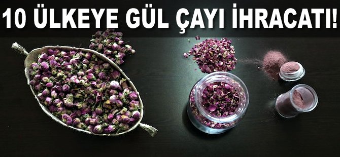 10 ülkeye Gül Çayı ihracatı!