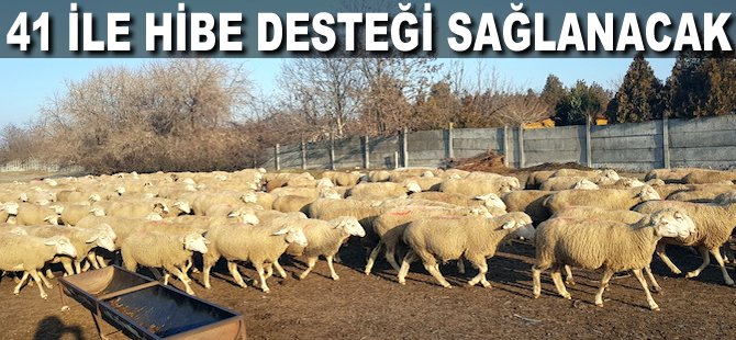 41 ile hibe desteği sağlanacak