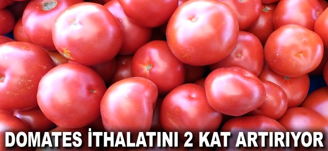 Domates ithalatını 2 kat artırıyor