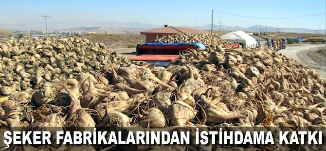 Şeker fabrikalarından istihdama katkı