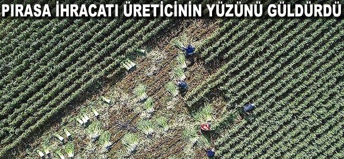 Pırasa ihracatı üreticinin yüzünü güldürdü