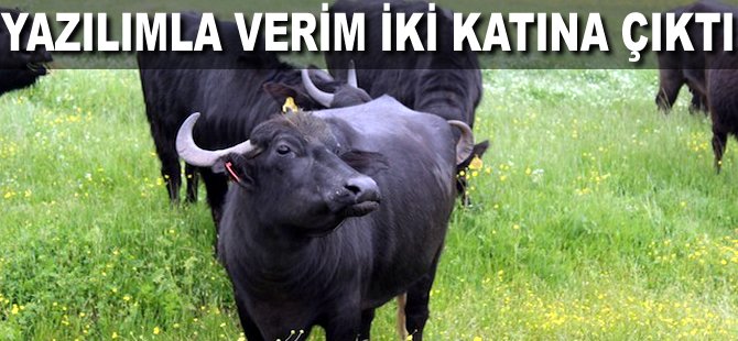 Yazılımla verim iki katına çıktı