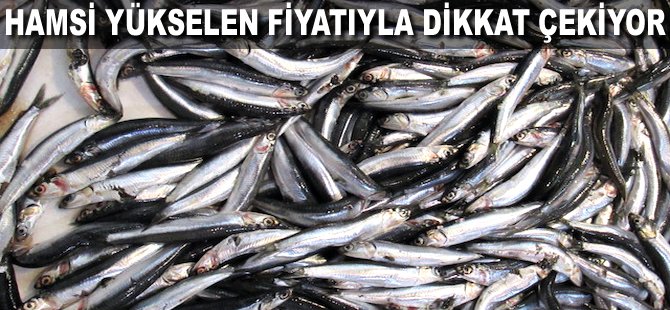 Hamsi yükselen fiyatıyla dikkat çekiyor