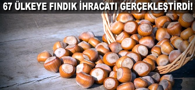 67 Ülkeye fındık ihracatı gerçekleştirdi!