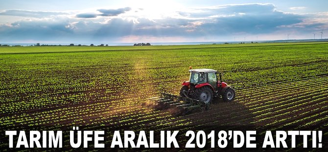 Tarım ÜFE Aralık 2018'de arttı!