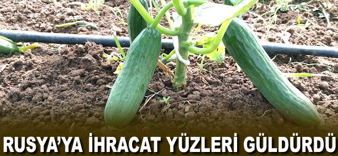 Rusya'ya ihracat yüzleri güldürdü