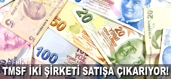 TMSF iki şirketi satışa çıkarıyor!