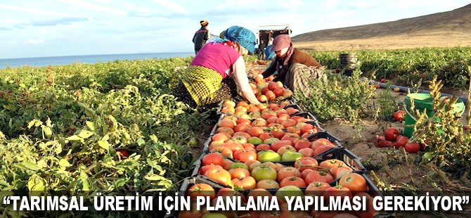 "Tarımsal üretim için planlama yapılması gerekiyor"