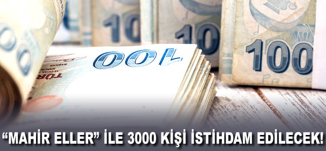 "Mahir Eller" ile 3000 kişi istihdam edilecek!