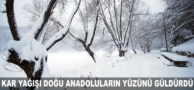 Kar yağışı Doğu Anadoluluların yüzünü güldürdü