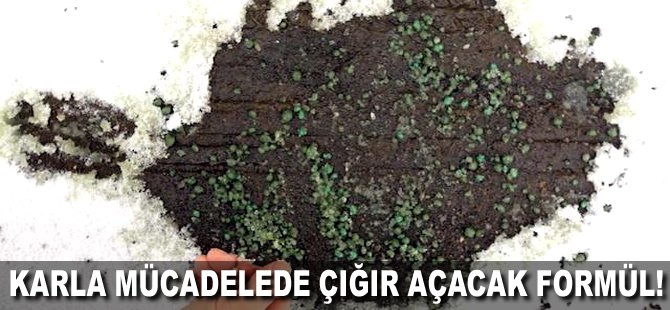 Karla mücadelede çığır açacak formül!