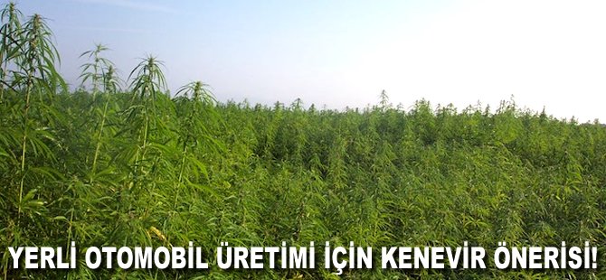 Yerli otomobil üretimi için Kenevir önerisi!