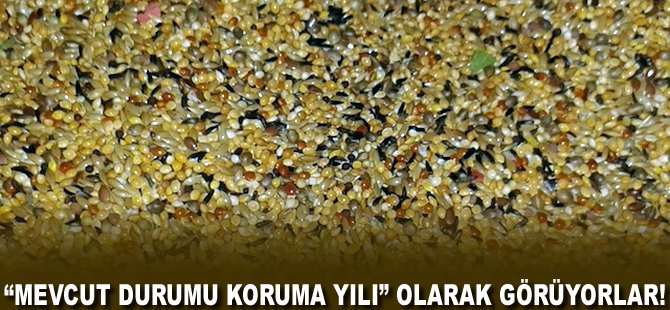 "Mevcut durumu koruma yılı" olarak görüyorlar!