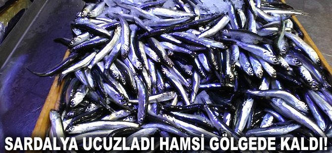 Sardalya ucuzladı Hamsi gölgede kaldı!