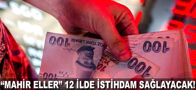 "Mahir Eller" 12 ilde istihdam sağlayacak!