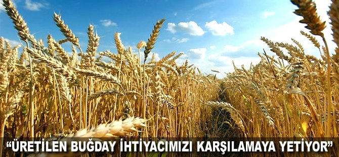 "Üretilen buğday ihtiyacımızı karşılamaya yetiyor"