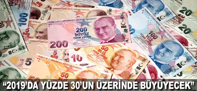 "2019'da yüzde 30'un üzerinde büyüyecek"