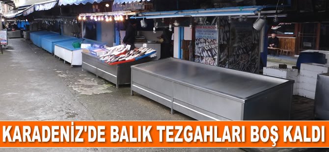 Karadeniz'de balık tezgahları boş kaldı