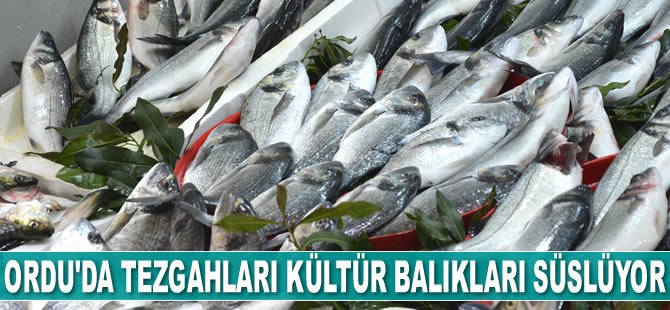 Ordu'da tezgahları kültür balıkları süslüyor