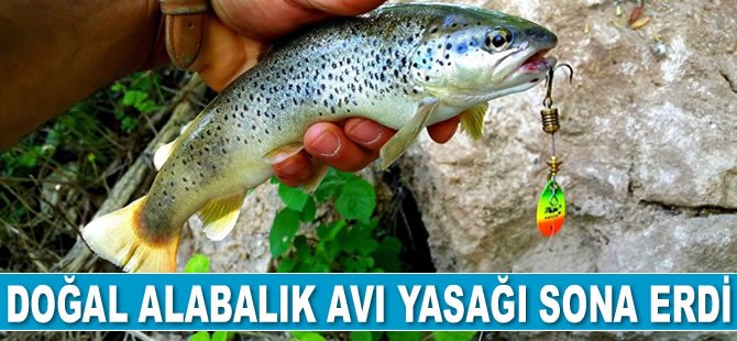 Doğal alabalık avı yasağı sona erdi