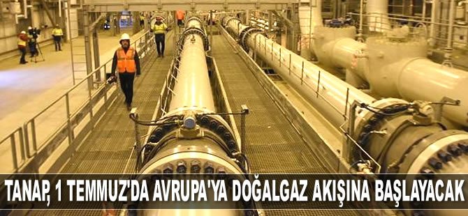 TANAP, 1 Temmuz'dan itibaren Avrupa'ya doğalgaz akışına başlayacak