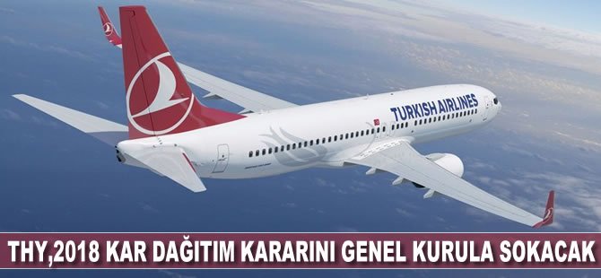 THY, 2018 kâr dağıtım kararını genel kurula soracak