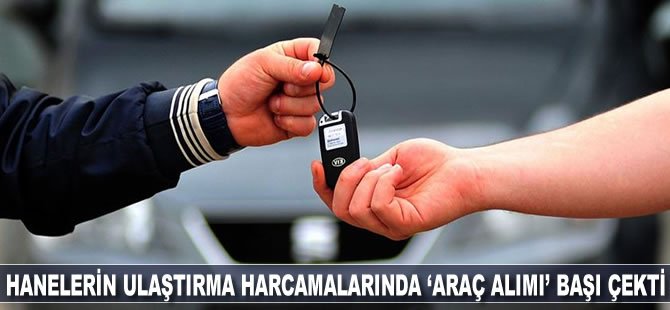 Hanelerin ulaştırma harcamalarında 'araç alımı' başı çekti