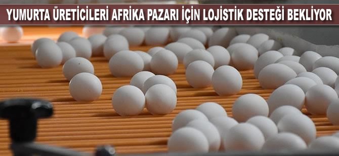 Yumurta üreticileri Afrika pazarı için lojistik desteği bekliyor