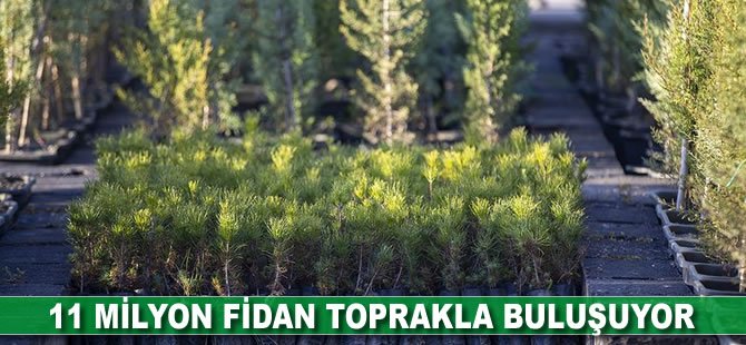 11 milyon fidan toprakla buluşuyor