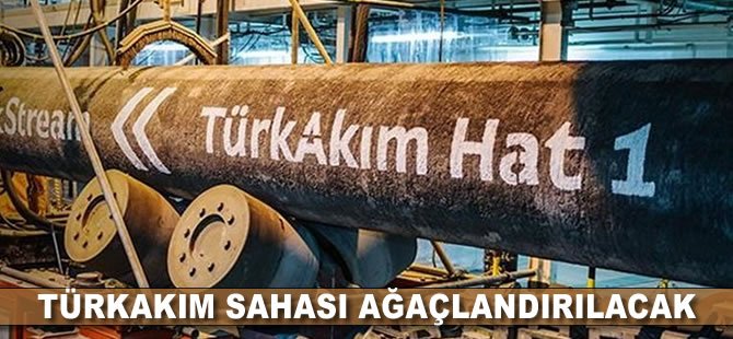 TürkAkım sahası ağaçlandırılacak