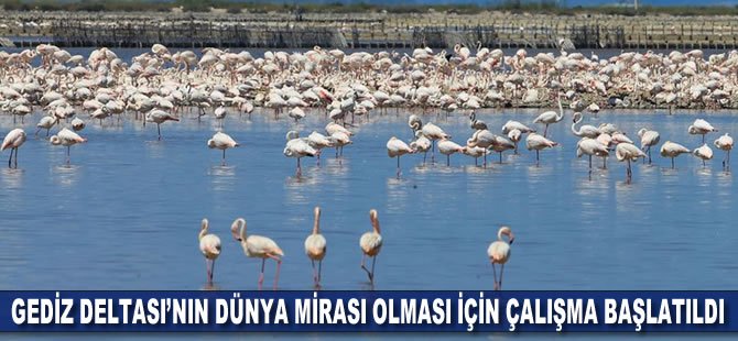 Gediz Deltası'nın dünya mirası olması için çalışma başlatıldı