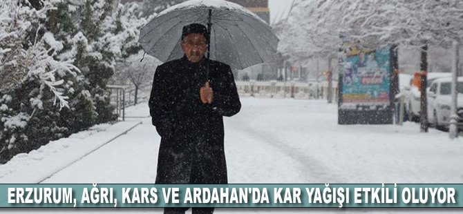 Erzurum, Ağrı, Kars ve Ardahan'da kar yağışı etkili oluyor