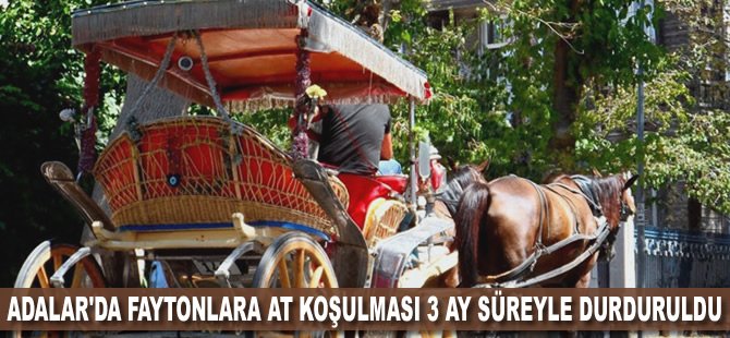 Adalar'da faytonlara at koşulması 3 ay süreyle durduruldu