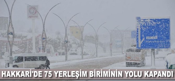 Hakkari'de 75 yerleşim biriminin yolu kapandı