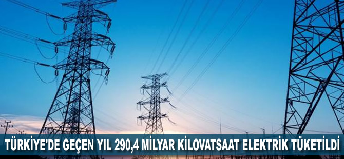 Türkiye'de geçen yıl 290,4 milyar kilovatsaat elektrik tüketildi