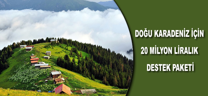 Doğu Karadeniz için 20 milyon liralık destek paketi