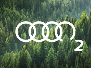 Audi, İzmir’in dağlarını yeniden yeşillendiriyor