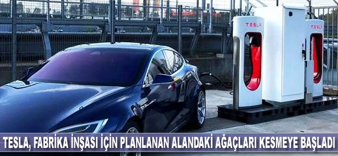 Tesla, fabrika inşası için planlanan alandaki ağaçları kesmeye başladı