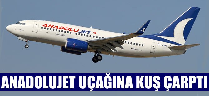 Anadolujet uçağına kuş çarptı