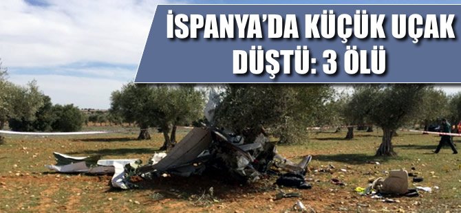 İspanya'da küçük uçak düştü