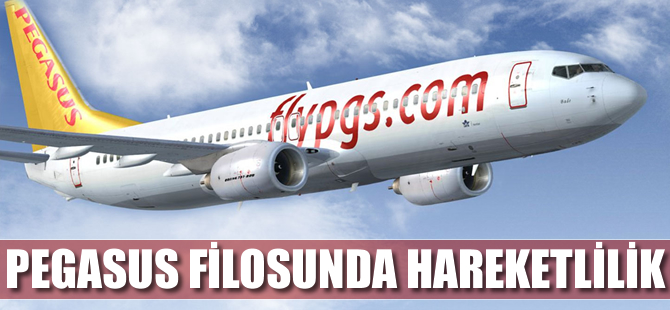 Pegasus filosunda hareketlilik