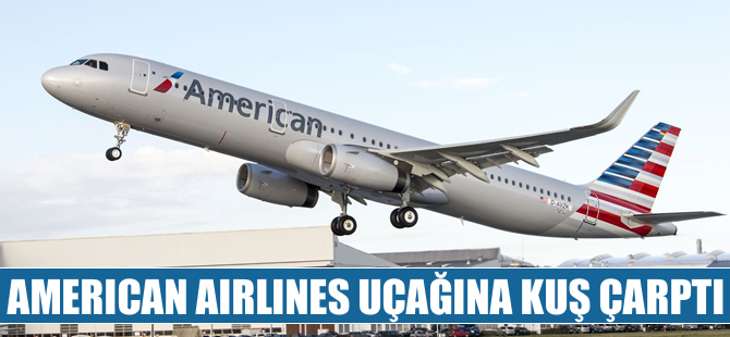 American Airlines uçağına kuş çarptı