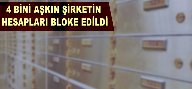 4 bini aşkın şirketin hesapları bloke edildi, kiralık kasalara el konuldu