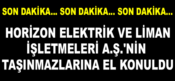 Horizon Elektrik ve Liman İşletmeleri'nin mallarına el konuldu